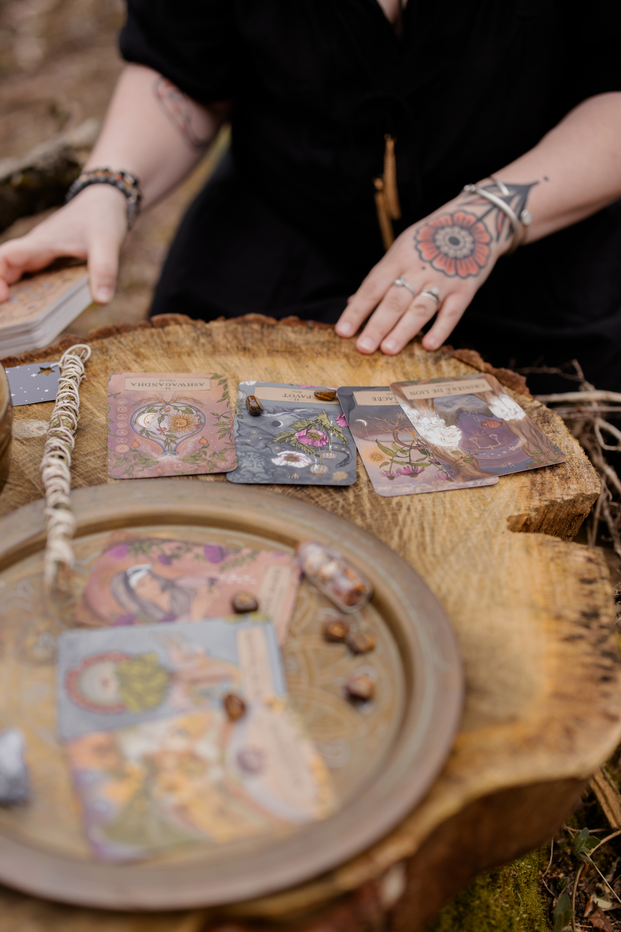 Cécile lit des cartes, lumière douce